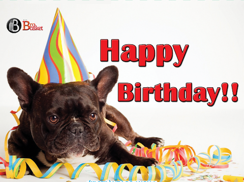 Birthday card featuring a dog with a party hat and colorful streamers